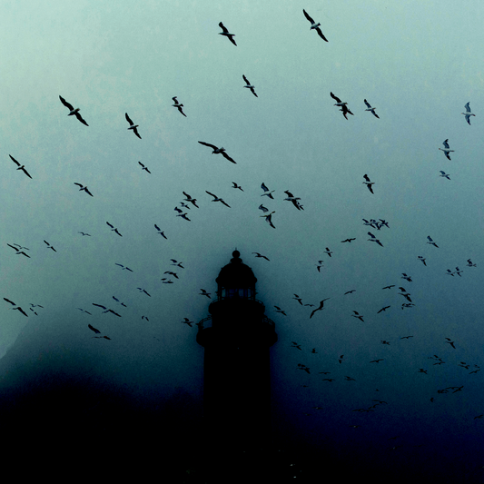 Lighthouse Flocks | Oruga Art Gallery | Oruga Studios